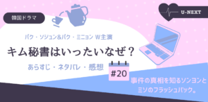 キム秘書はいったいなぜ？20話あらすじネタバレ感想。事件の真相を知るソンヨン