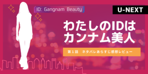 わたしのIDはカンナム美人1話 二重手術、鼻プロテ、輪郭整形…イム・スヒャンも？