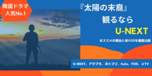 太陽の末裔観るならU-NEXT|アマプラ,ネトフリ,hulu,FOD,dTV動画配信サービス比較