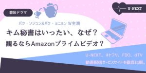 キム秘書はいったい、なぜ？観るならアマプラ？U-NEXT,ネトフリ,dTV,FOD比較