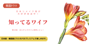 知ってるワイフ韓国原作版10話あらすじネタバレ感想。ウジン&ジョンフカップル誕生とビハインド。