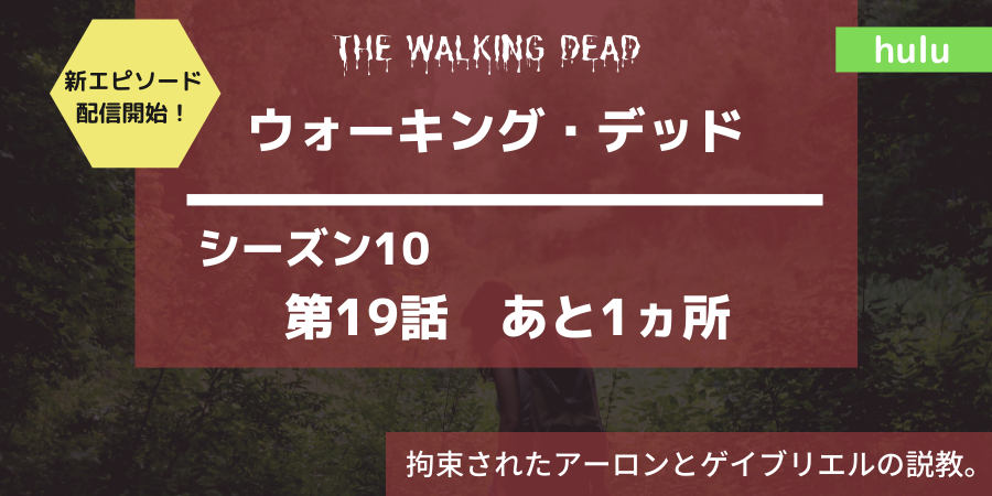 ウォーキングデッドシーズン10 19話あらすじネタバレ感想 ゲイブとアーロン おススメ海外ドラマを鬼更新