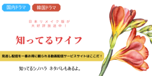 知ってるワイフ見逃し配信＆韓国原作＆スピンオフ全部観るならFOD！知ってるシノハラネタバレもあるよ。