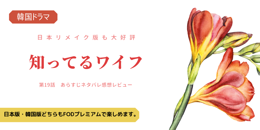 知ってるワイフ19話あらすじネタバレ感想 ジュヒョクとウジン過去で復縁 おススメ海外ドラマを鬼更新