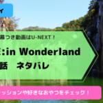 シズニ必見『NCT LIFE:DREAM in Wonderland』日本語字幕動画ならU-NEXT!