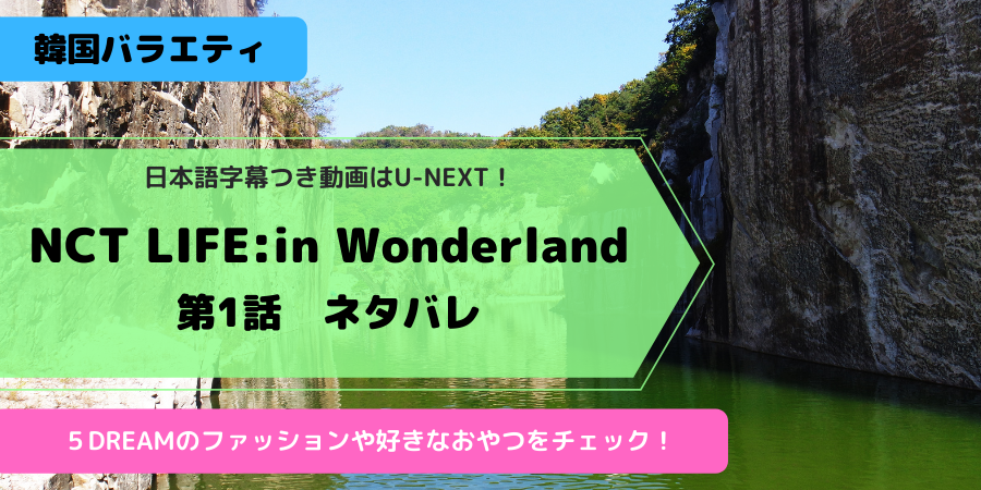 シズニ必見『NCT LIFE:DREAM in Wonderland』日本語字幕動画ならU-NEXT！